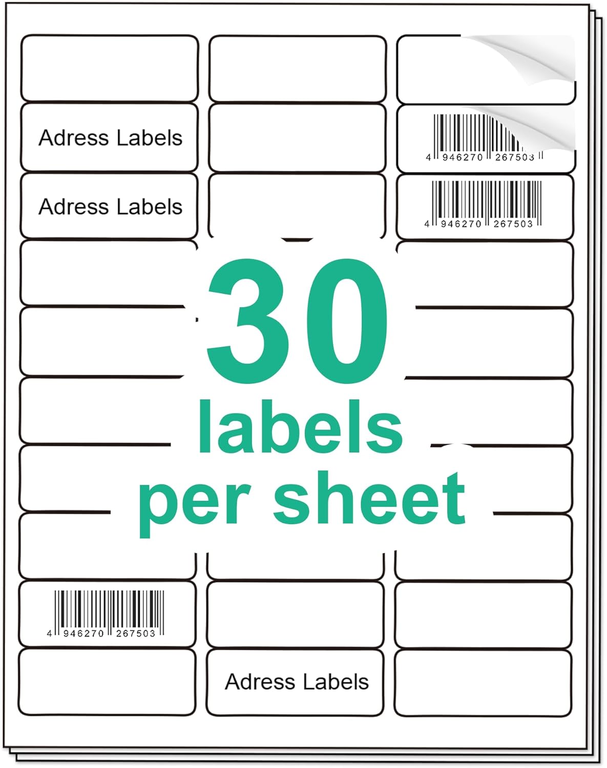 1" x 2-5/8" Address Labes, Shipping Address Labels for Inkjet & Laser Printers, 750 Labels, 25 Sheets, Mailing Labels, Easy to Peel