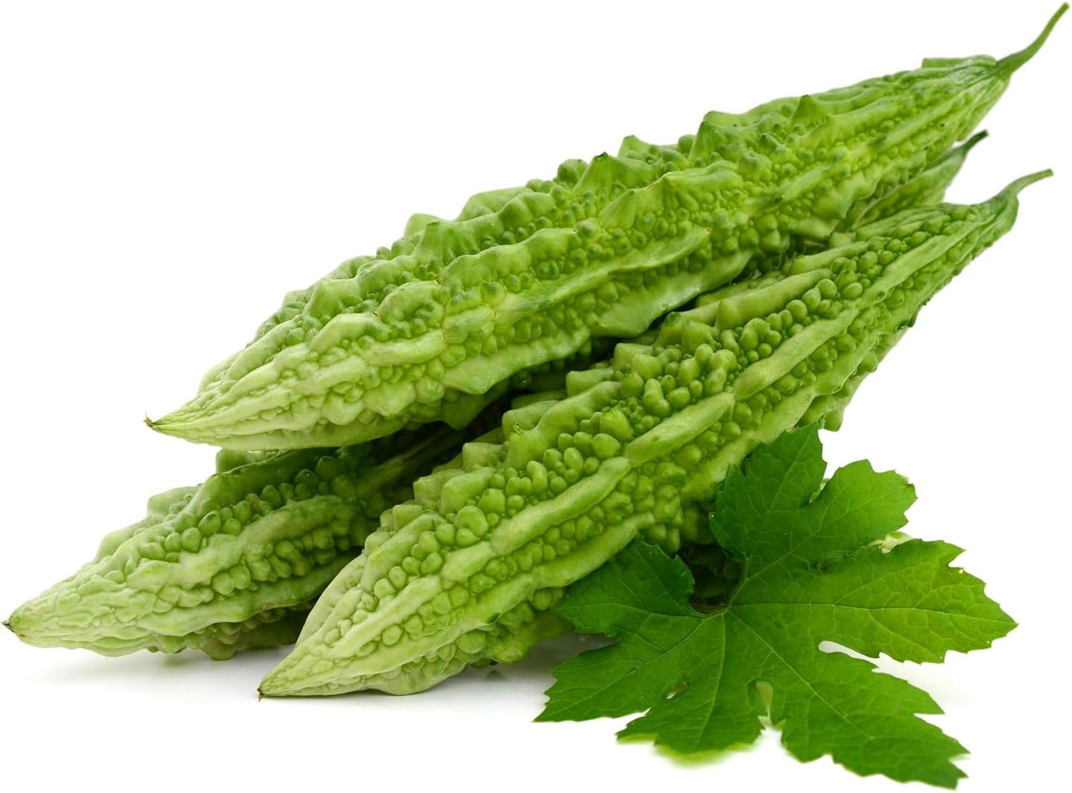 Bitter Guord || Karela || 1KG || FPG4U || £11.99 ||