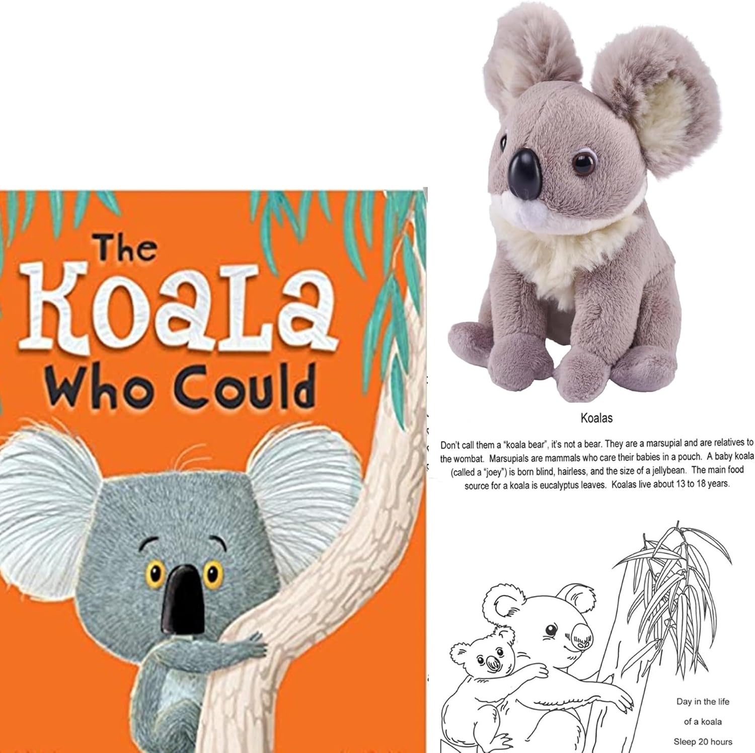 The Koala Who Could by Rachel Bright and Jim Field (Illustrator) with Baby Koala Stuffed Animal Friend and Fact Sheet (an Educational Gift Set of Friendship and Embracing Change)