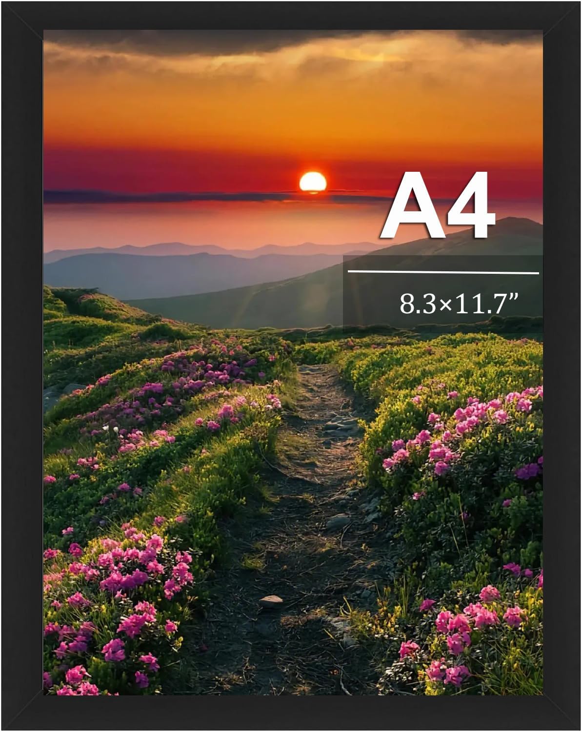 A4 Photo Frame, A4 Frame Wooden Picture Frame with Clear Perspex Front, 21cm x 29.7cm Certificate Frame Poster Frame for Table Top and Wall Mounting, Black