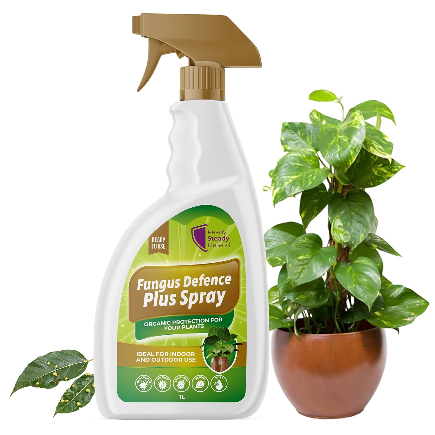 Fungus Defence Plus Spray 1L | Organic Plant Protection | Targets Blackspot, Mildew, Leaf Spot, Blight, Rust | Ideal for Indoor & Outdoor Use | Safe on Fruits, Vegetables, Flowers | Natural Defence
