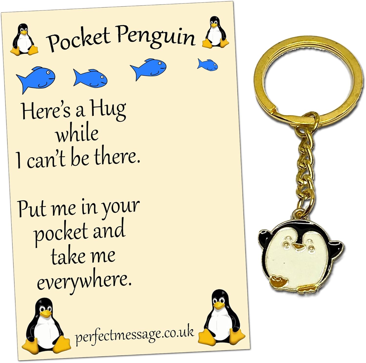 Perfect Message Pocket Penguin Hug Keyring Inspirational Gift for Boys Girls and Friends