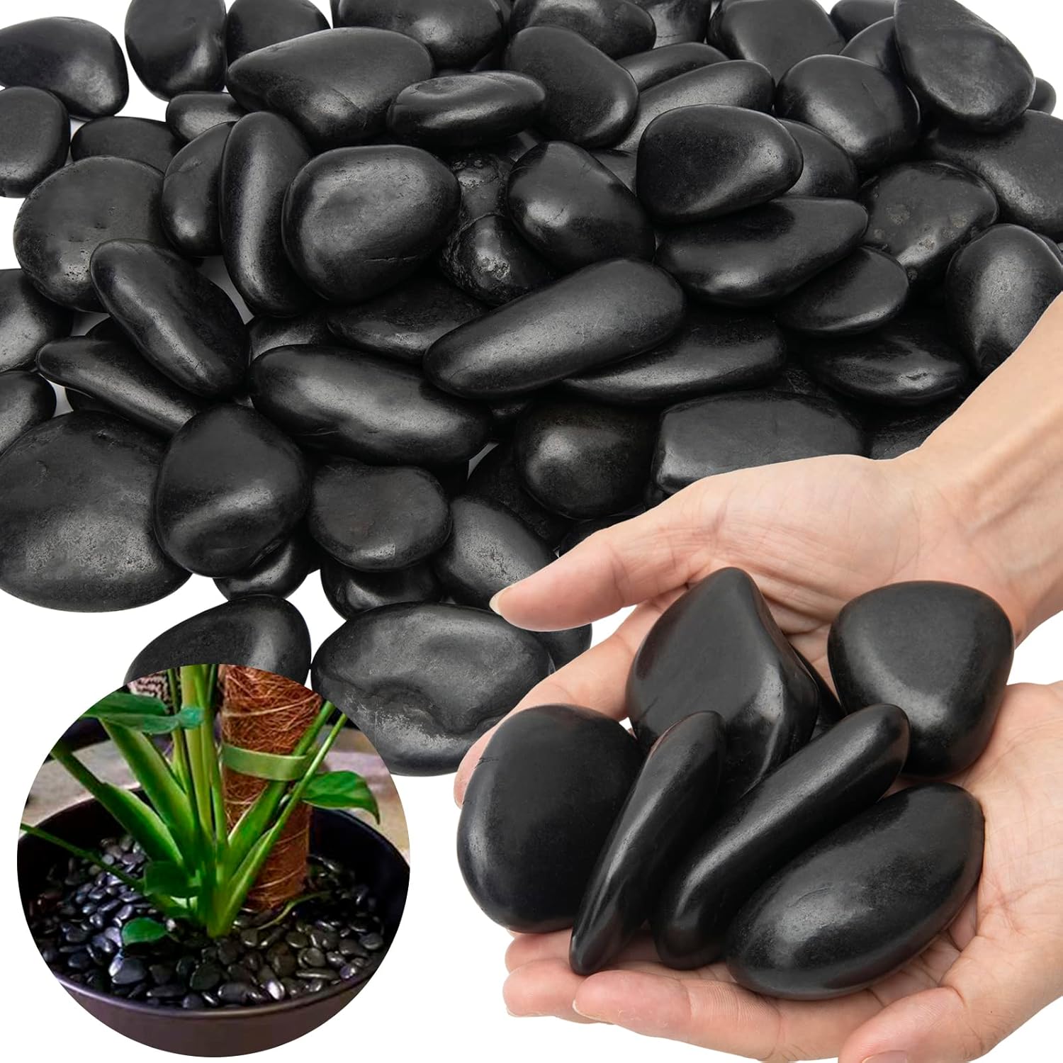 Black River Rocks - Large Polished Black Pebbles for Plants & Garden Decorative Stones, 1-2 Inch, 15 Pound