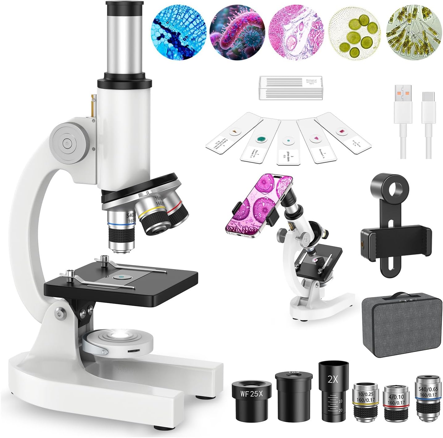 2000X Microscope for Kids Adults Beginner: Compound Monocular Microscope
