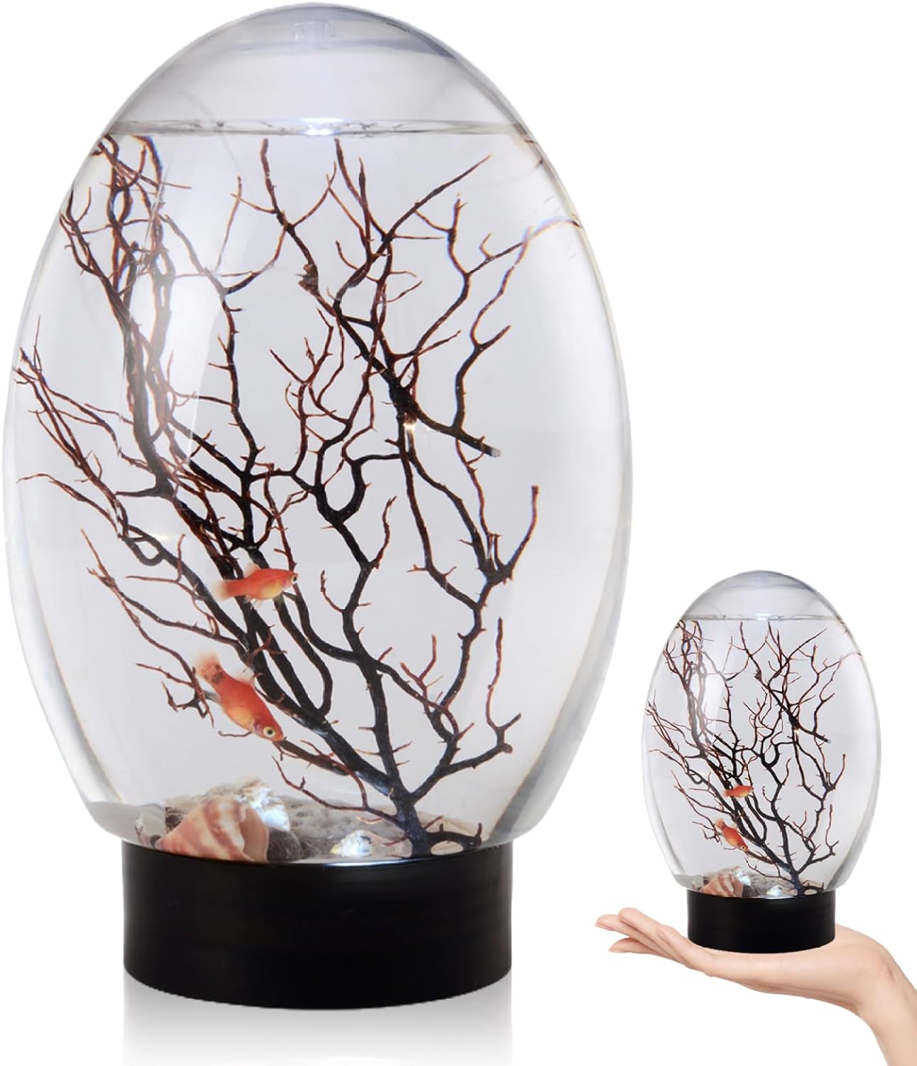 Mini Fish Tank, Small Desktop Aquarium with Led Light, Self Sustaining Ecosystem, No Need to Feed Or Change Water Closed Aquatic Ecosystem for Home Office