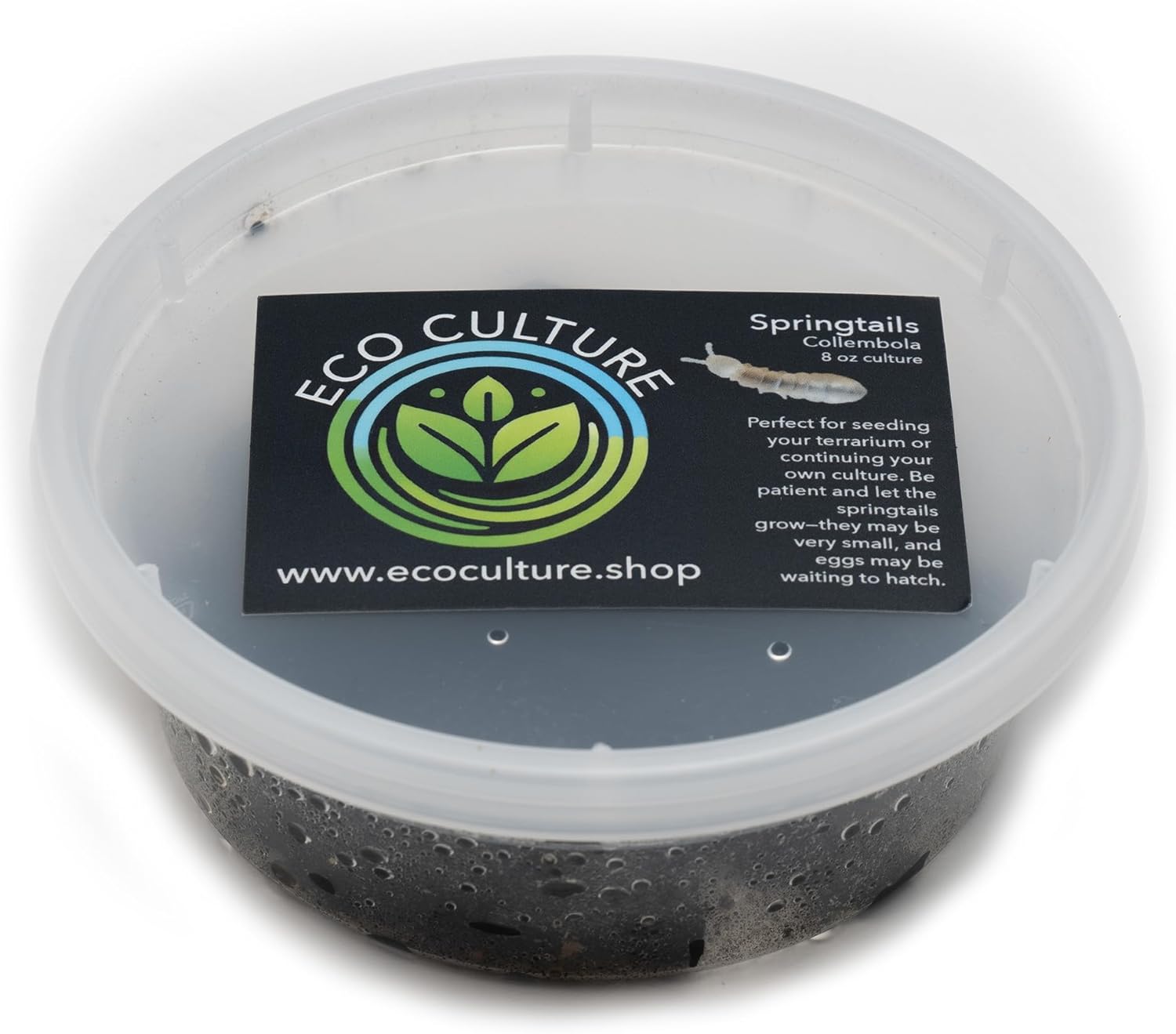 Eco Culture Live Springtails, 8 oz Charcoal Substrate, for Terrariums and Live Food