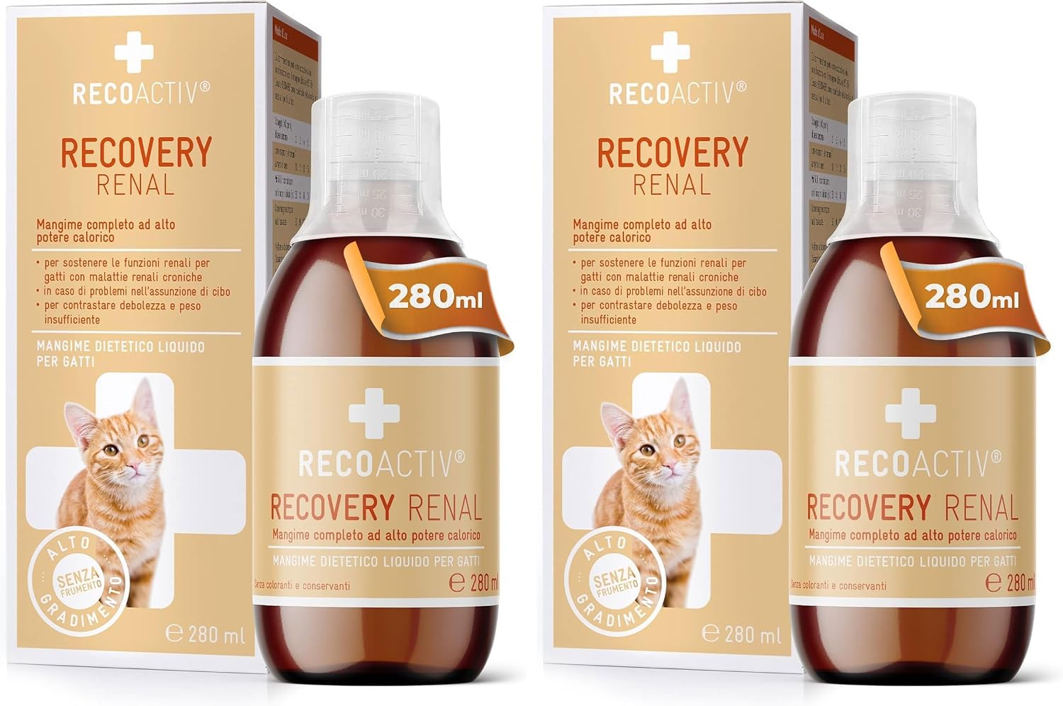 RECOACTIV Recovery Renal for cats, 1 x 280 ml, high-calorie complete diet food for cats with kidney dysfunction and increased energy requirements during recovery, to promote weight gain (Pack of 2)
