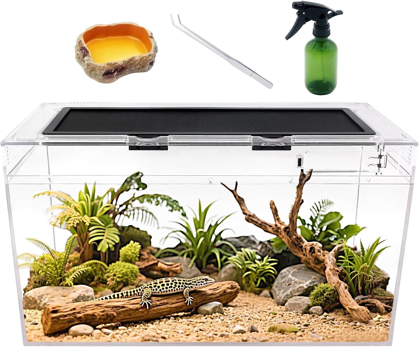 Reptile Growth Reptile Terrarium Kit, Reptile Tank 20" x 10"x 11", with Stainless Steel Tweezer, Spray Bottles,Water Food Bowl,Terrarium Reptile for Gecko Hermit Crab Bearded Dragon Lizard