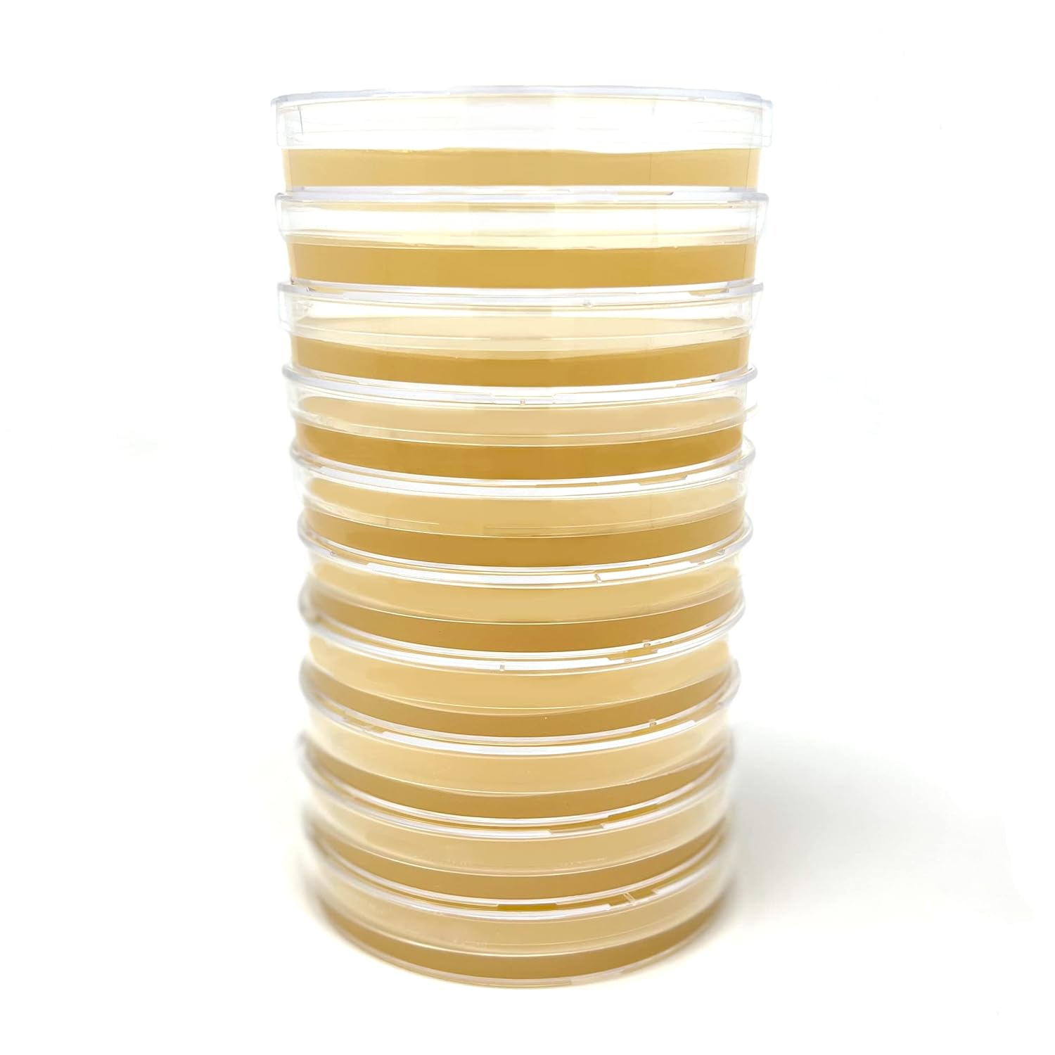 Malt Yeast Extract Agar Plates (MYA) - 10 Sterile Prepoured Petri Dishes for Mushroom Cultivation & Science Projects - Now with Improved Packaging