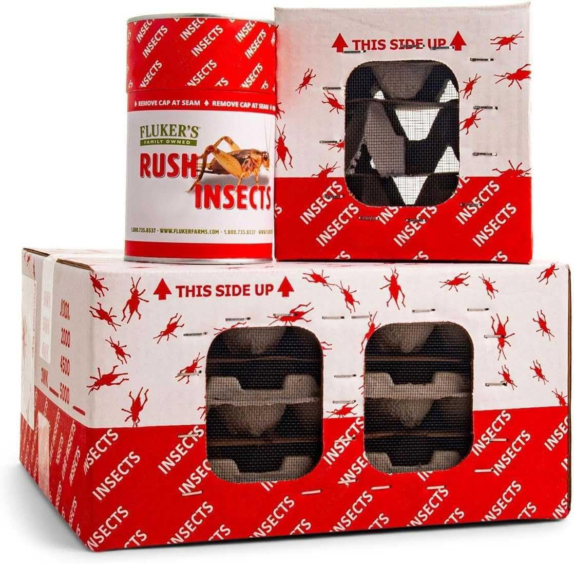 Fluker's Crickets, 250 Count Feeder Insects for Reptiles, Chickens, and Birds, Large (Approx. 3/4")