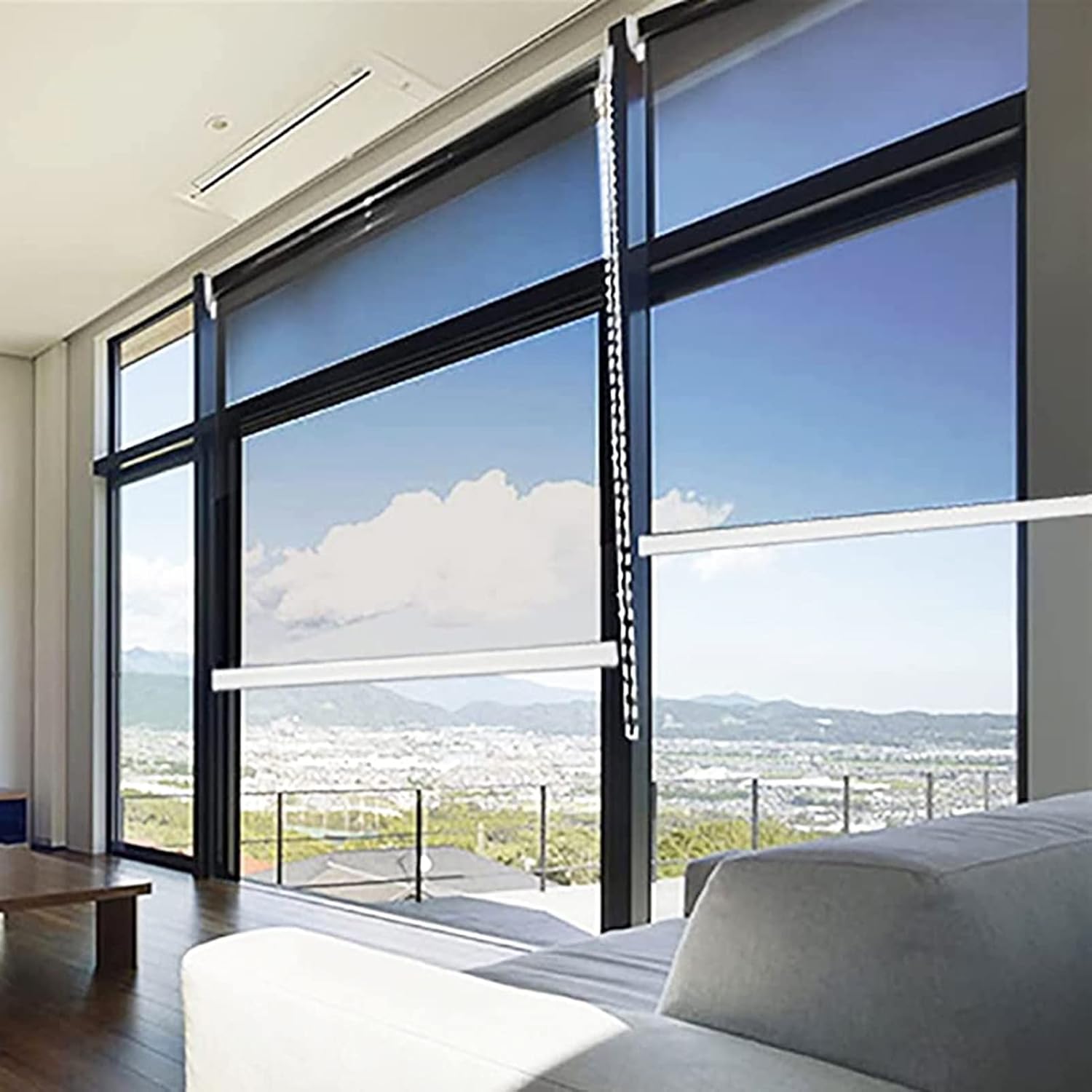 Heat Control One Way Mirror Roller Blinds for Indoor Windows Light Filtering, Reflective One-Way See-Through Roller Shades Curtain (Size : 60cmx200cm/23.4inx79in)