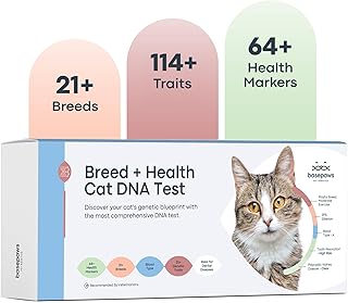 Basepaws Cat DNA Test Kit - Comprehensive Breed, Health and Dental Analysis Across 114 Traits for Accurate and Easy-to-Use Genetic Insights