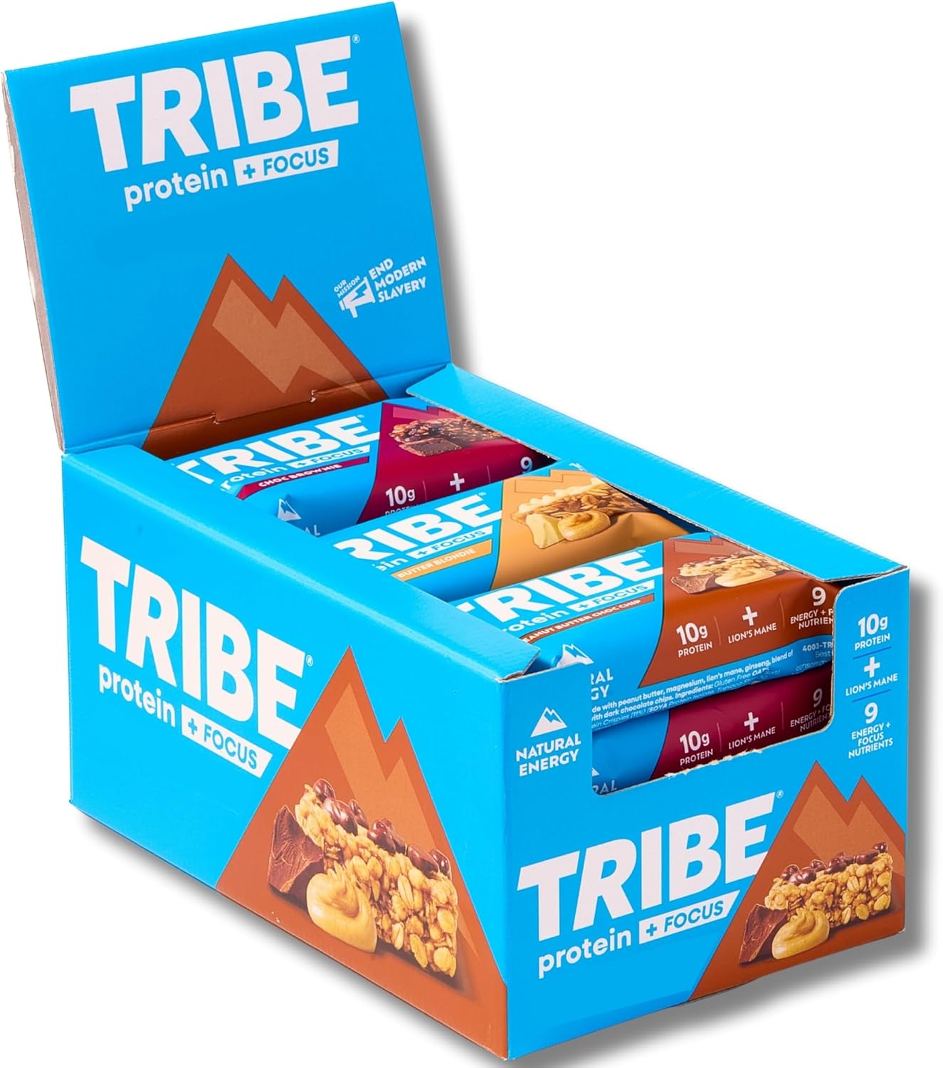 TRIBE Protein + Focus Flapjack Bar - Bestsellers Variety Pack- High Protein Snack - 9 Energy & Focus Nutrients - 10g Protein, Lions Mane, Plant Based, Vegan Snack & Gluten Free (60g x 12 Bars)