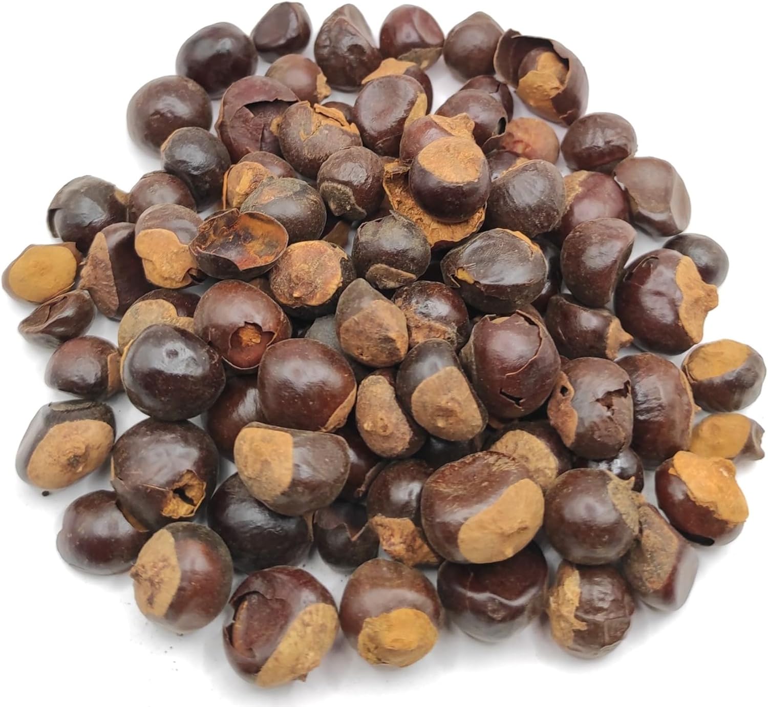 Dried Guarana 40g - 1,95Kg Paullinia Cupana (460 grams)