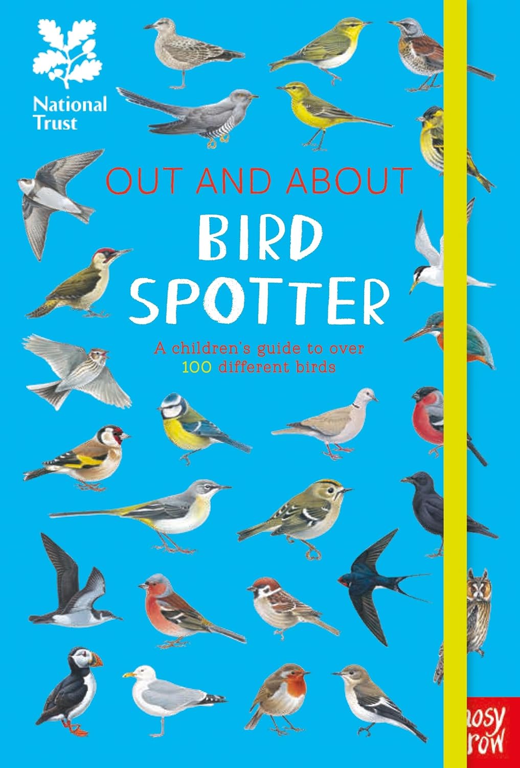 National Trust: Out and About Bird Spotter - A children's guide to over 100 different birds: 1