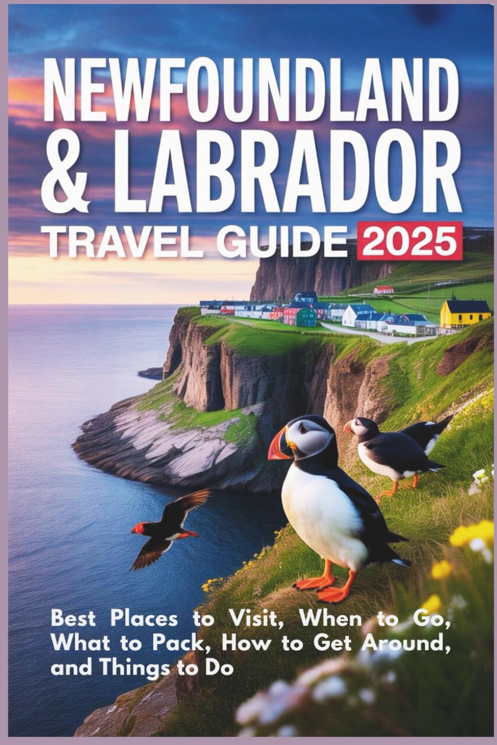 Newfoundland & Labrador Travel Guide 2025: Best Places to Visit, When to Go, What to Pack, How to Get Around, and Things to Do