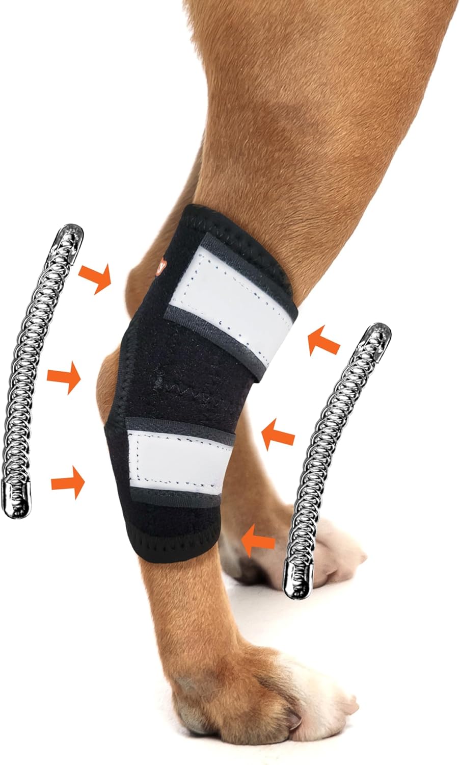NeoAlly Extra Supportive Dog Brace for Rear Leg and Hock Joint with Dual Metal Spring Strips Stabilize Canine hind Legs from Wound, Injury, Sprains, Arthritis (XS - Right Leg)