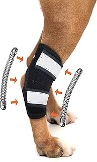 NeoAlly Extra Supportive Dog Brace for Rear Leg and Hock Joint with Dual Metal Spring Strips Stabilize Canine hind Legs from Wound, Injury, Sprains, Arthritis (XS - Right Leg)