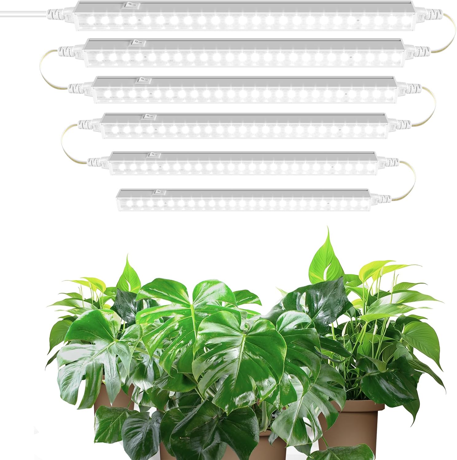 Barrina T5 1FT Grow Lights for Indoor Plants, 5000K White Full Spectrum Indoor Plant Lamp, 30W(6 x 5W) Linkable LED Grow Light Strip with Switch, Plug and Play, 6 Packs