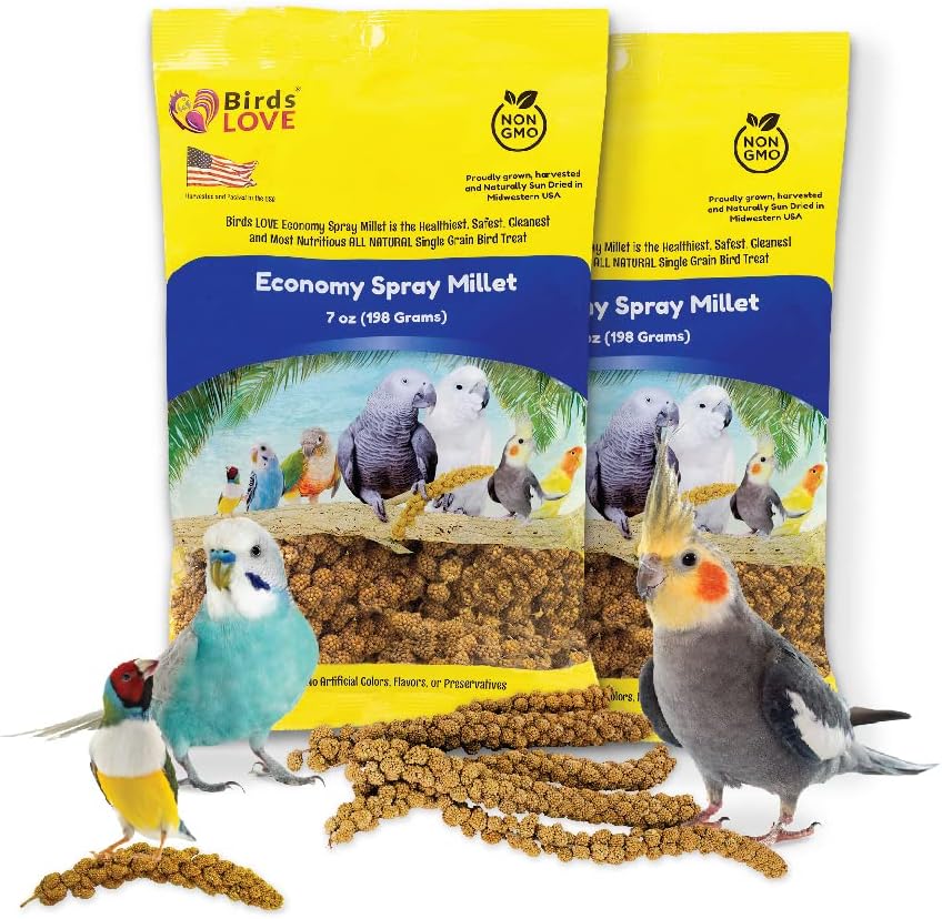 Birds LOVE Economy & Thin Special Spray Millet | GMO-Free (No Stems Only Edible Tops) for Birds Cockatiel, Lovebird, Parakeet, Finch, Canary All Parrots Healthy Treat 7 oz -Pack of 2