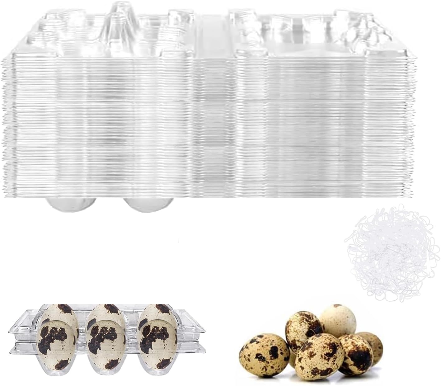 Pack of 50 quail egg boxes, 6 grids, quail egg boxes, egg trays with lid with 100 pieces elastic band