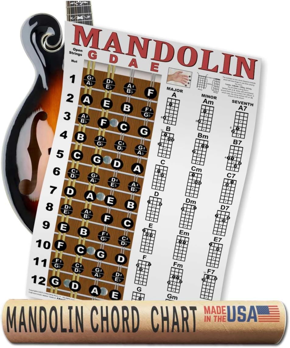 Mandolin Classic Style Easy Chord & Fretboard Note Chart Instructional Poster for Beginners Chords & Notes A New Song Music 11"x17"