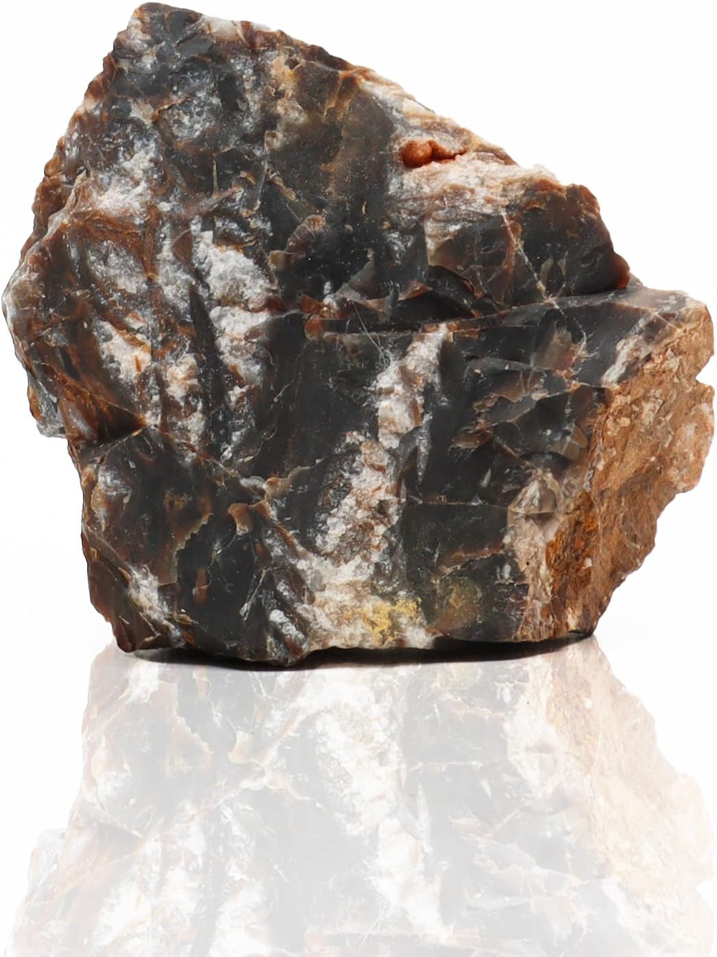 Amtra - Petrified rock, aquarium decoration, natural, non-limestone, random piece/weight