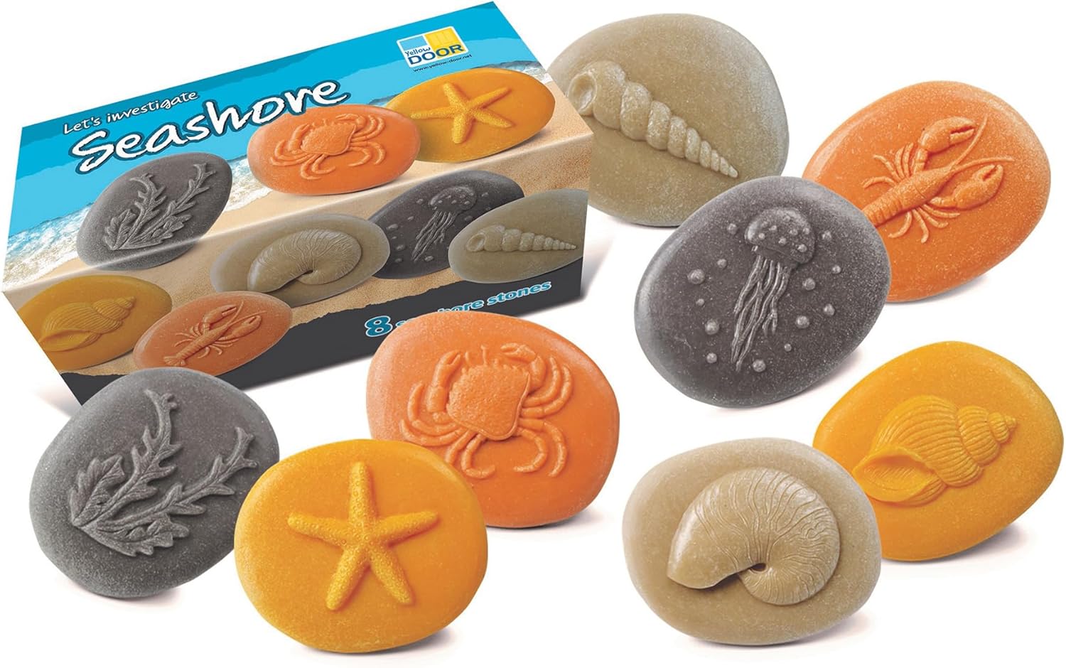 Yellow Door Let’s Investigate Seashore | Early educational learning |STEM| fossil seaside kit | kids age 2,3,4,5 | water play | sand play | ocean play |messy play | Outdoor shell, crab, jellyfish toys