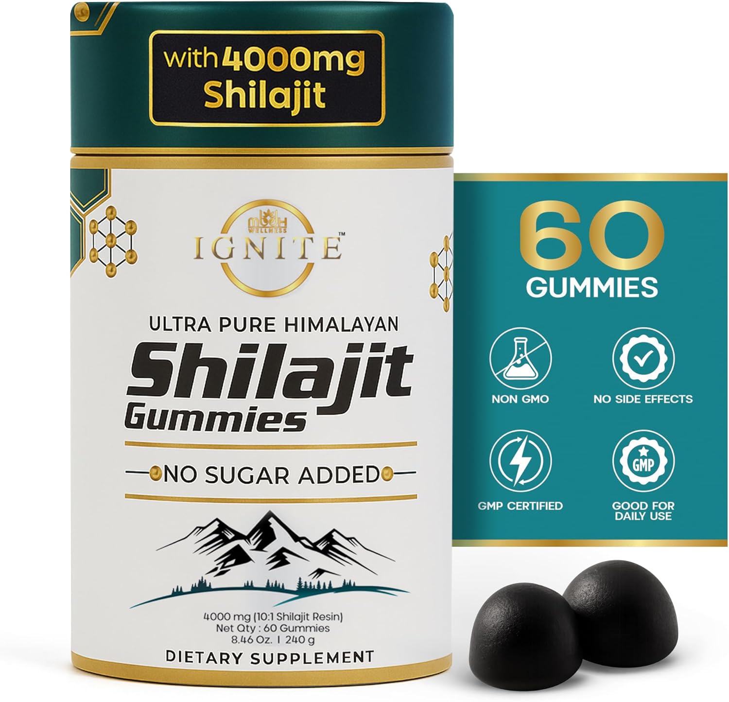 Pure Himalayan Shilajit Gummies – 75%+ Fulvic Acid, High Potency Gold Grade – Blend for Energy, Vitality & Immune Support, Travel - Friendly, Tamarind Flavor – 60 Gummies