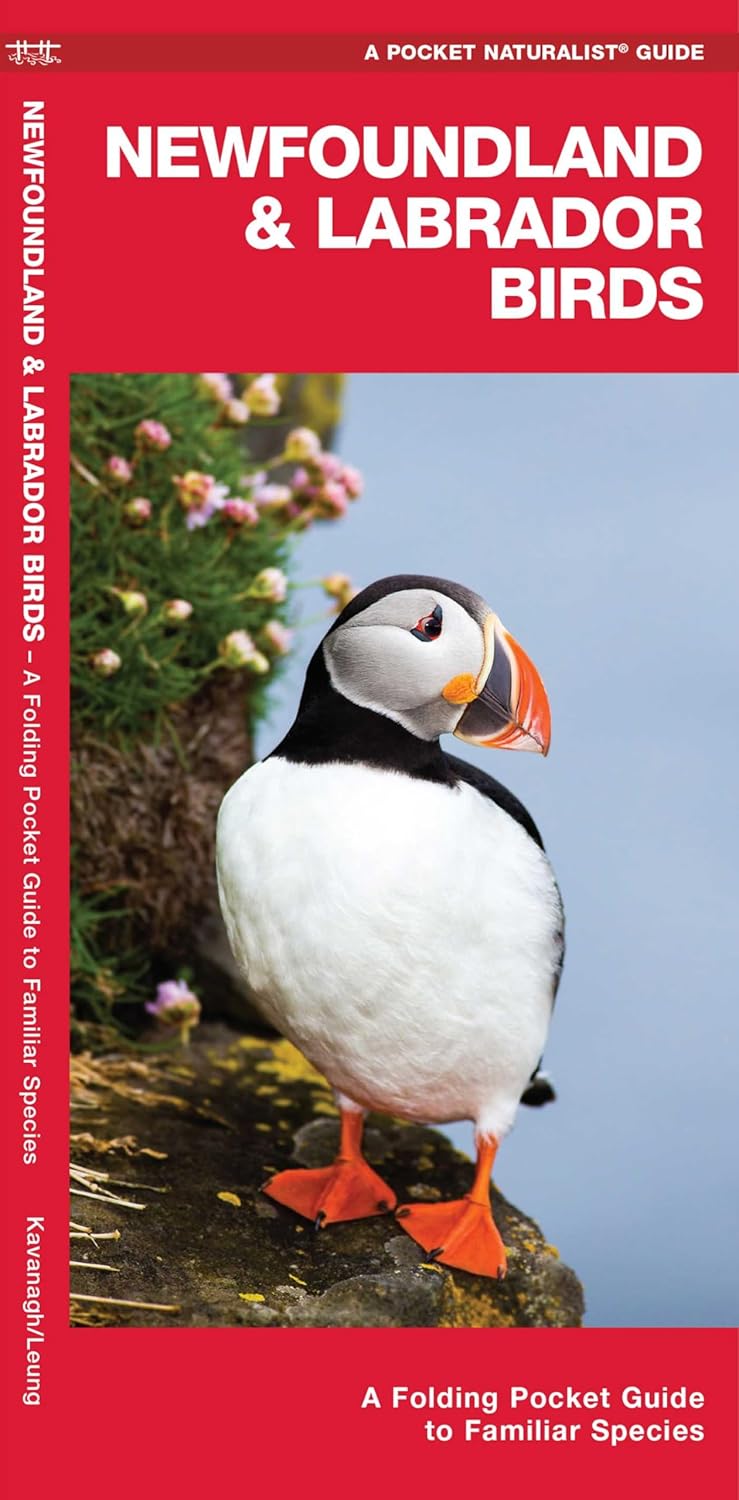 Newfoundland & Labrador Birds (Nature Observation North America)