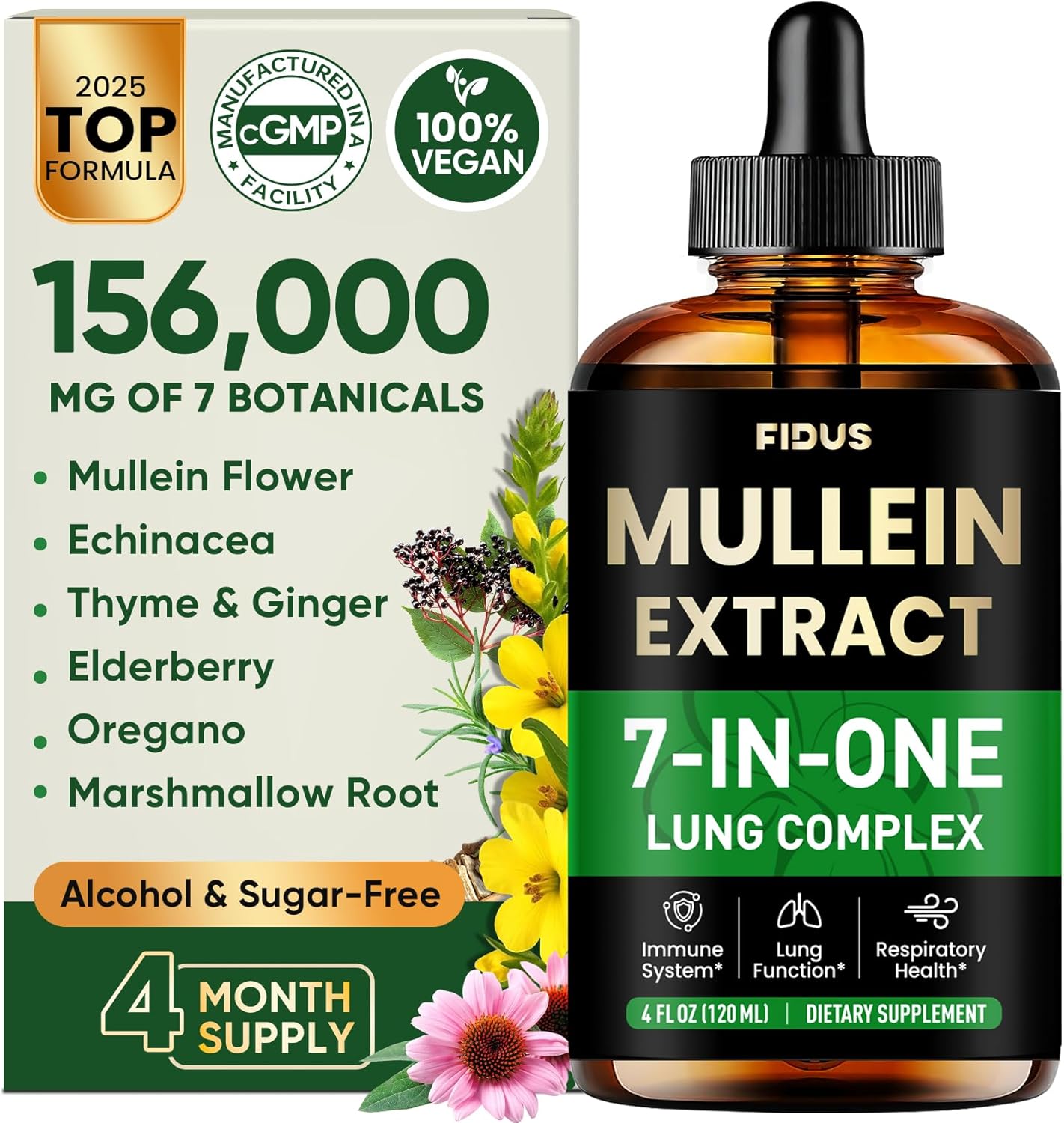 Fidus Mullein Drops for Lungs & Lymphatic Drainage – 7 Herb with Echinacea, Oregano, Ginger, Elderberry, Marshmallow Root & Thyme– Lung Detox for Smokers– Respiratory & Immune Support, 4 fl oz