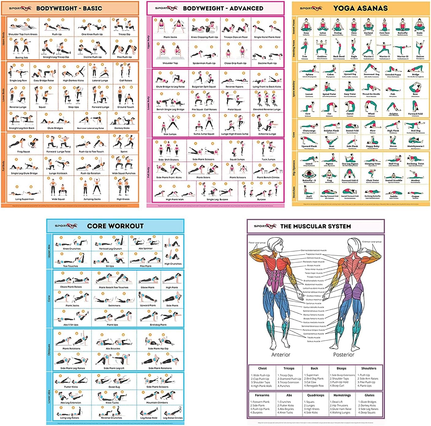 SPORTAXIS 5 Pack Laminated Workout Posters for Home Without Equipment Color Illustrations Bodyweight Basic Building Exercises Yoga Abs Training for Men and Women 18x27 Inches