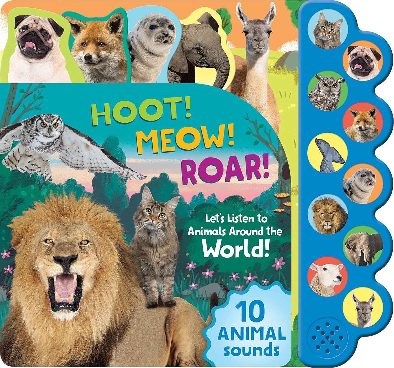 Wild Animals 10 Button sound book (ages 18 months to 5 Years): Let's Listen to the Animals Around the World!