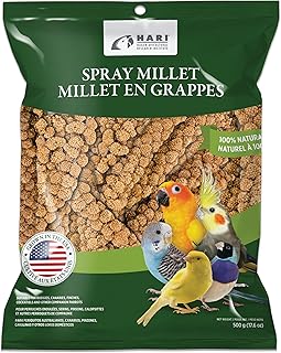 Living World – Millet Spray for Birds, 17.6 Oz – Premium Treat for Budgies, Canaries, Finches, Cockatiels and Other Pet Birds