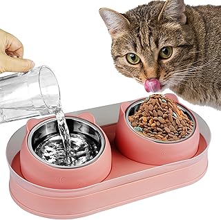 Elevated Cat Food Bowls, Raised Cat Bowl with Stand Stainless Steel, Tilted Cat Bowls Anti Vomiting, Double Cat Food and Water Bowl Set for Cats (Pink)