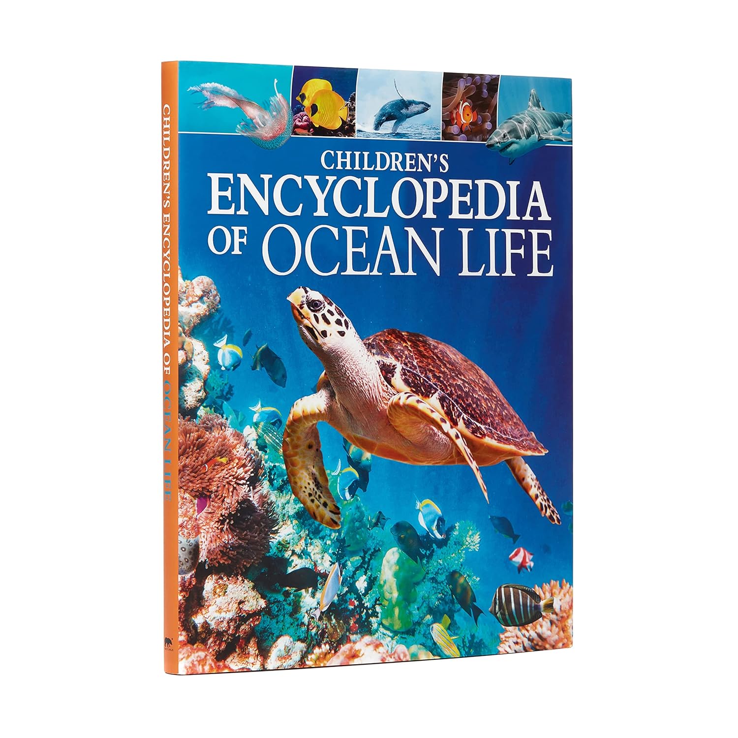 Children's Encyclopedia of Ocean Life: A Deep Dive into Our World's Oceans (Arcturus Children's Reference Library, 10)
