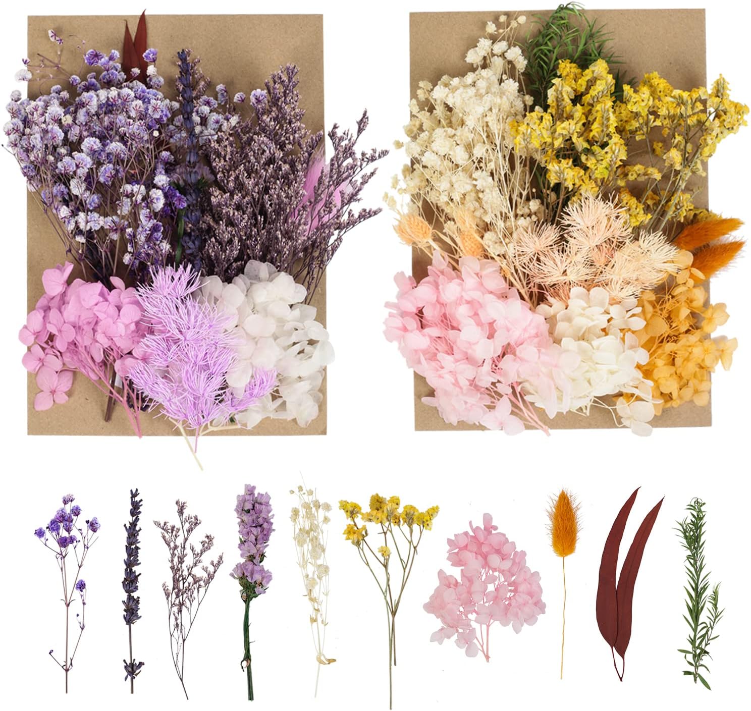 LAUMOE 2 Packs Dried Flowers, Dried Flower, Small Dried Flowers Dried Flowers for Crafts Dried Flowers for Resin Dried Flowers for Cakes, 300*210MM