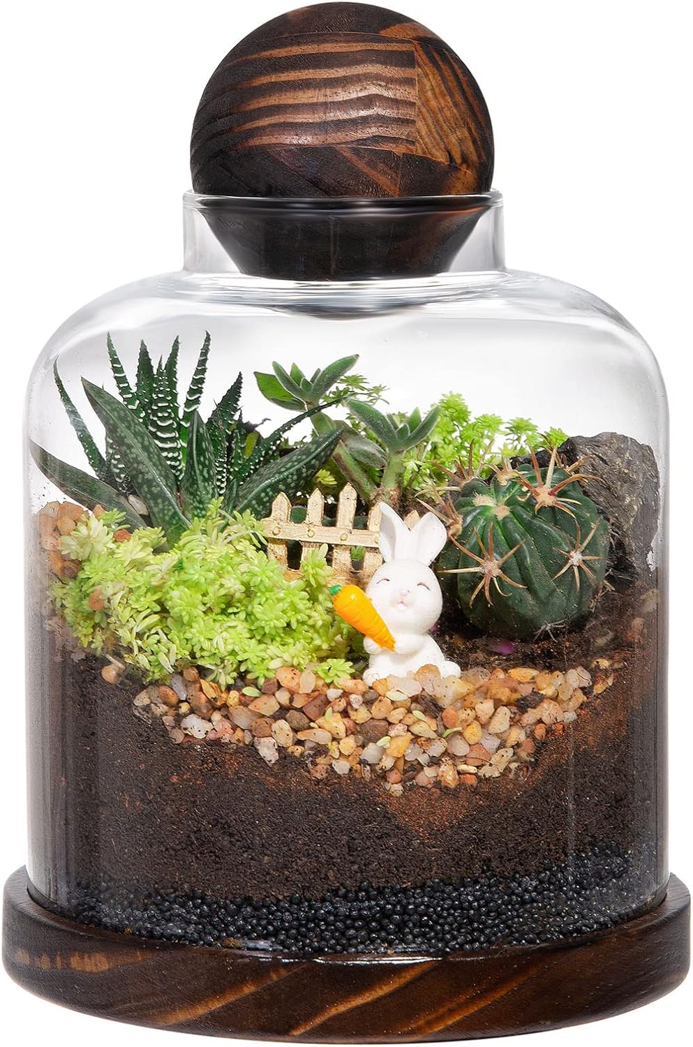 Yangbaga Large Glass Terrarium Succulent Plant Terrarium House for Plant/Moss Ball/Glass Fish Tank Mini Table with Wood Base & Ball lid Office Home Decoration