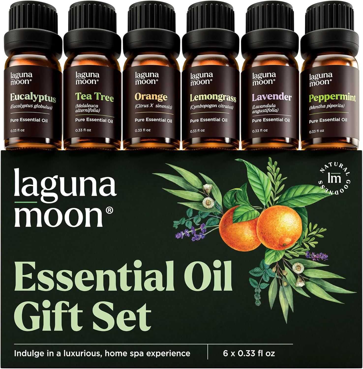 Essential Oils Set - Top 6 Blends for Diffusers, Home Care, Candle Making Scents, Fragrance, Aromatherapy, Humidifiers, Gifts - Peppermint, Tea Tree, Lavender, Eucalyptus, Lemongrass, Orange (10mL)