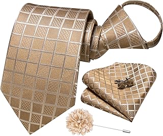 Dubulle Zipper Ties for Men Mens Paisley Striped Pretied Neckties and Lapel Pin Pocket Square Cufflinks Adjustable
