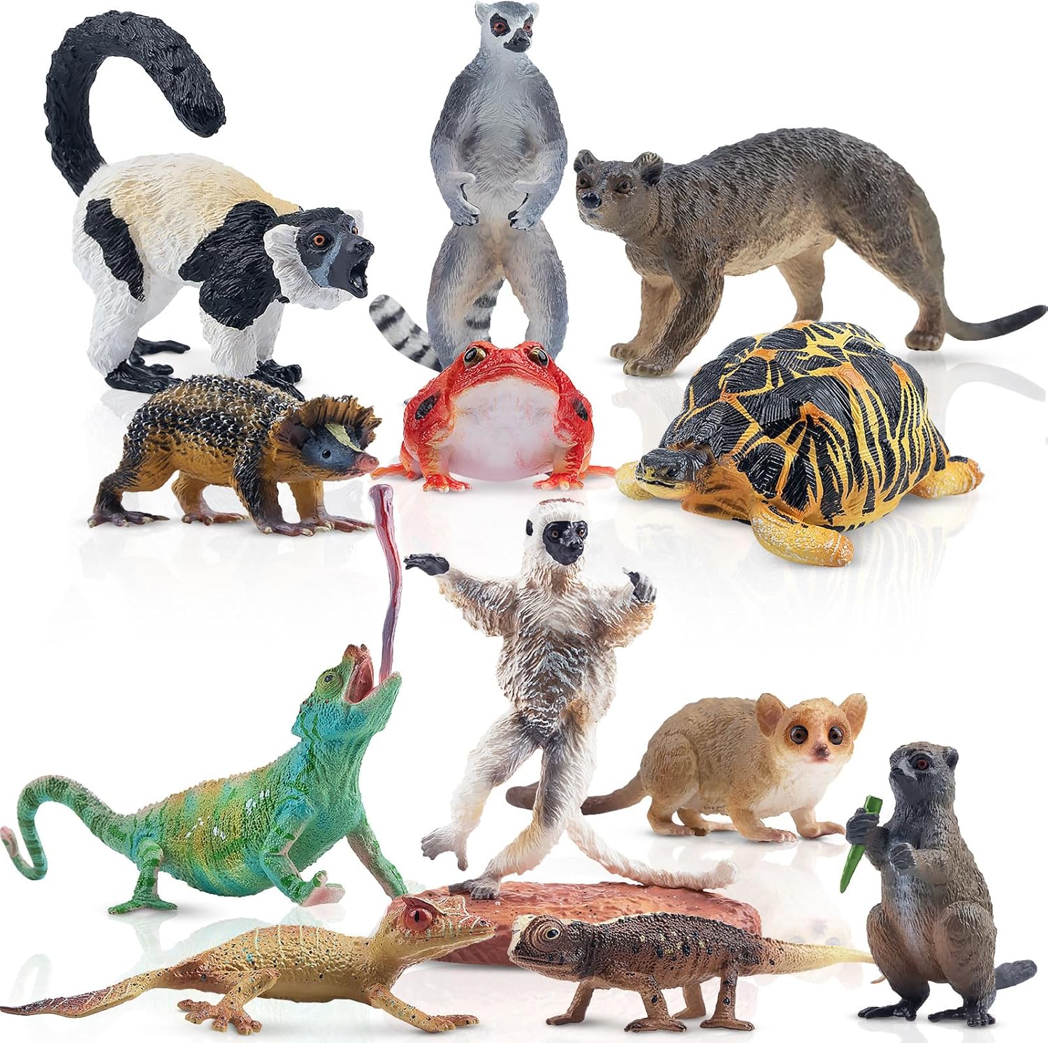 Toymany 12PCS Madagascar Animal Figurines Set, Realistic Jungle Animal Toys Set Includes Lemur, Chameleon, Tortoise,Gecko,Fossa,Sifaka -Educational Forest Animals Figure Toy Collection for Kids Adults