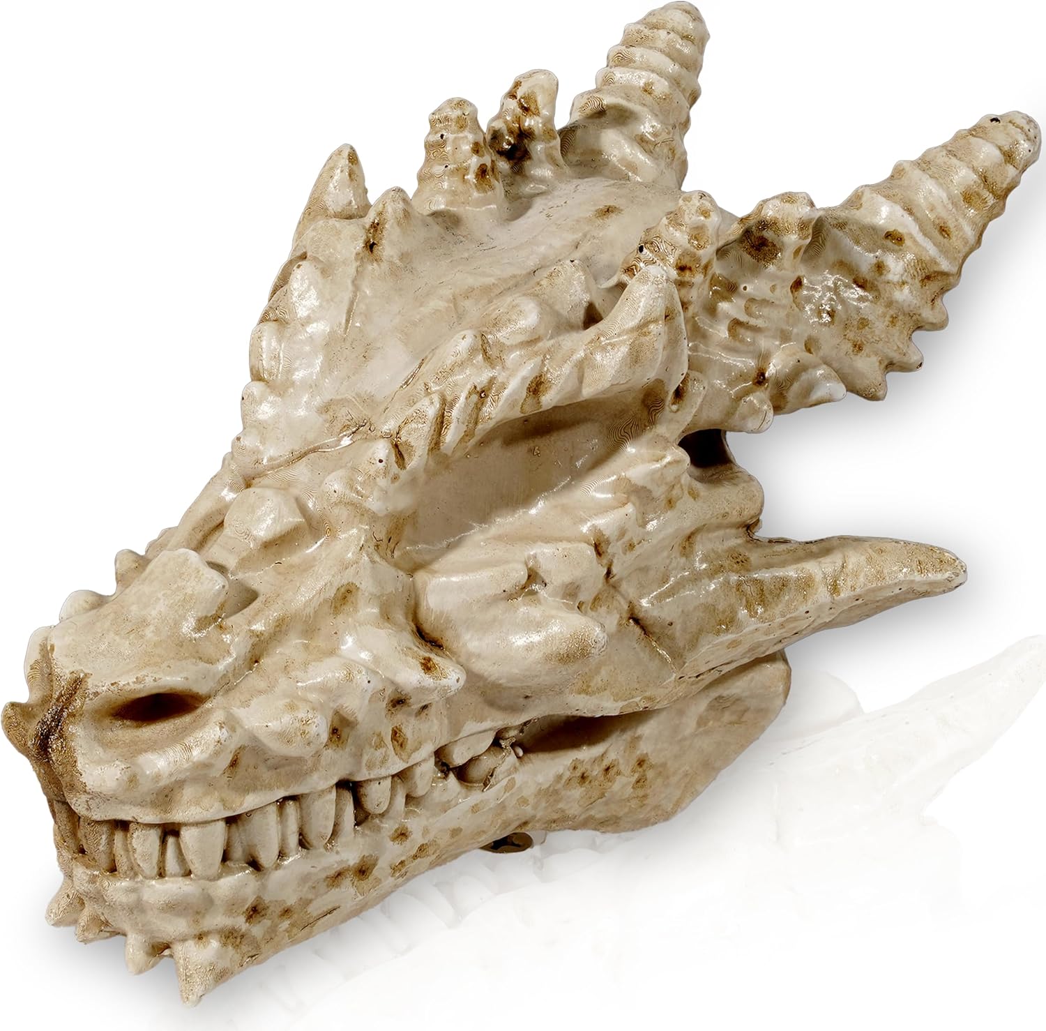 Bbiamsleep 4.6 Inch Resin Dragon Animal Skull Figurine Statue Resin Skull Ornament for DIY Halloween Christmas Aquarium Fish Tank Landscape Decor