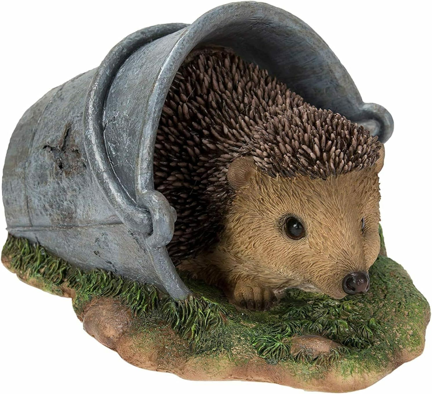 Real Life Hedgehog in Rusty Pail | Resin Home or Garden Decoration | XRL-HH11-D
