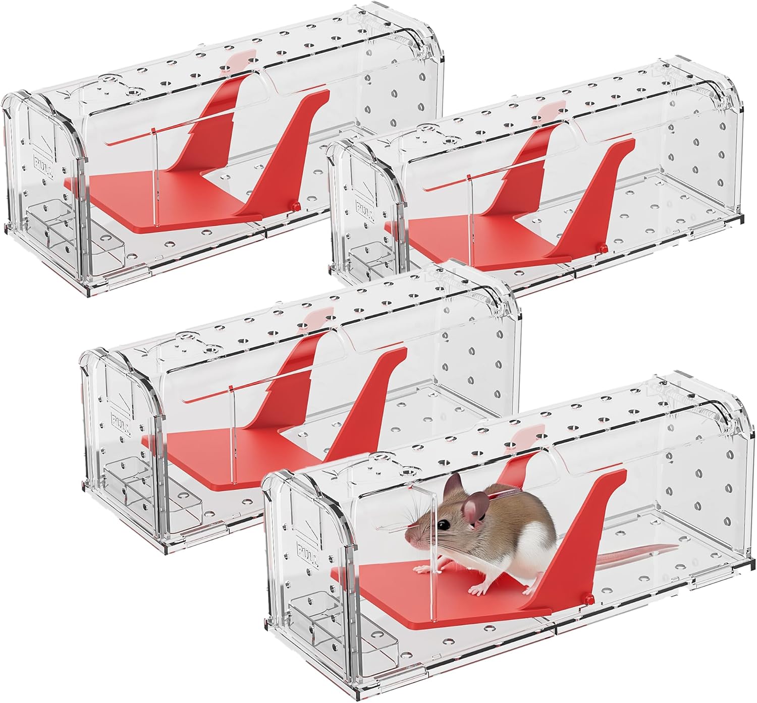 ROSHIELD 4 X Humane MOUSE Traps for Indoors and Outdoors, Duty Pest Trap for Catch Alive. Pets and Children Friendly. Reusable Rodent Mice Trap. Quick, Effective and Highly Sensitive Catcher