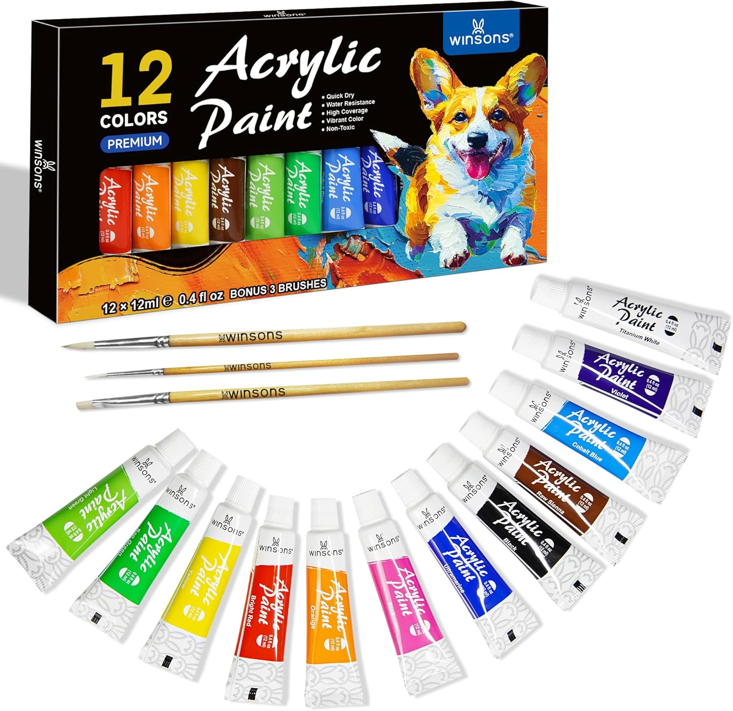 WINSONS Acrylic Paint Set - 12 Colours for Canvas, Ceramic, Crafts, Fabric, Wood, Paper, Rock Painting - Non Toxic, Vibrant Pigments for Beginners, Students - Art Supplies (12ml Each)