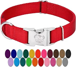 Country Brook Petz Premium Nylon Dog Collar with Metal Buckle for Small Medium Large Breeds - Vibrant 30+ Color Selection (Extra Large, 1 Inch, Bright Red)