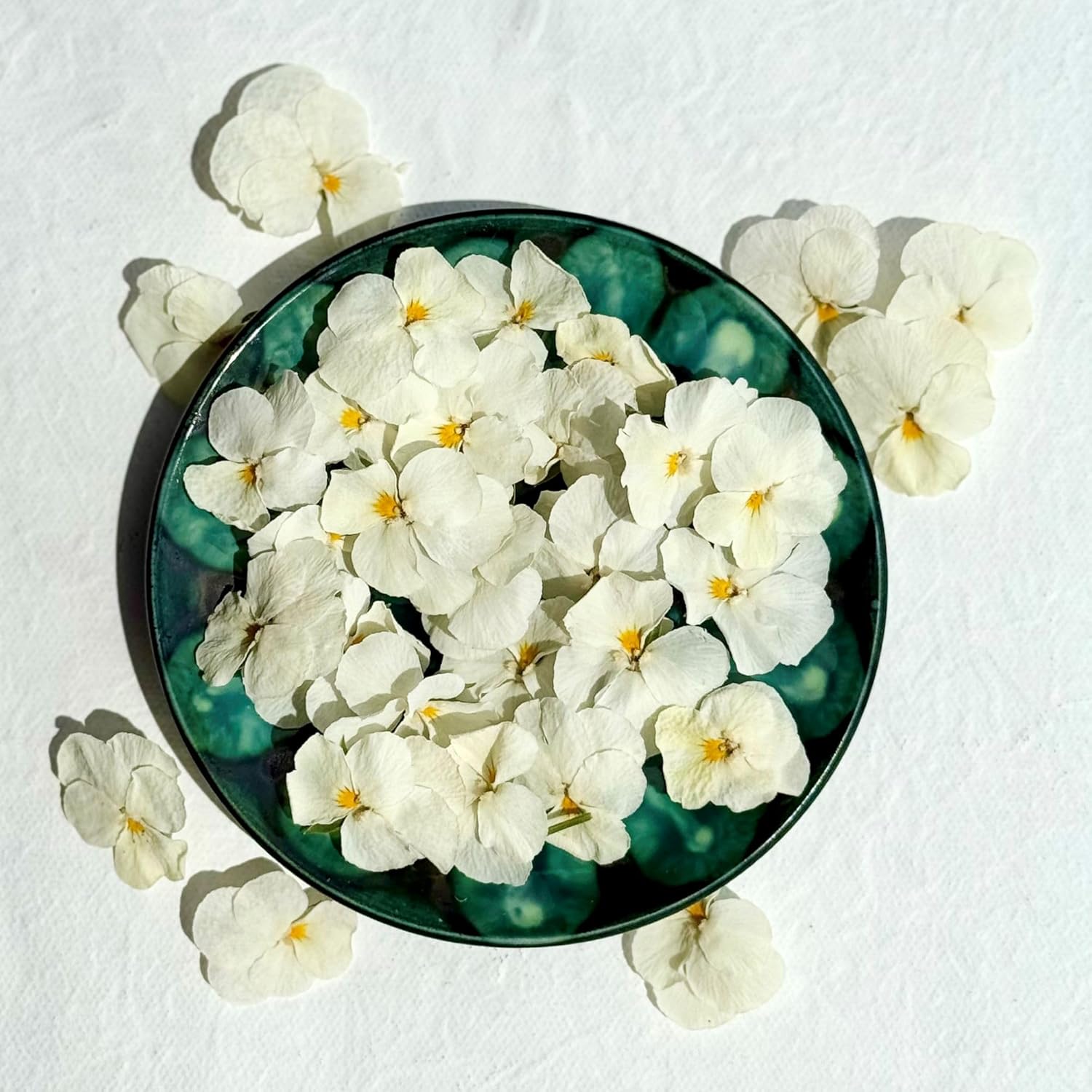 Edible Freeze Dried White Viola Flowers - 40 Heads - Certified Food Grade (544)