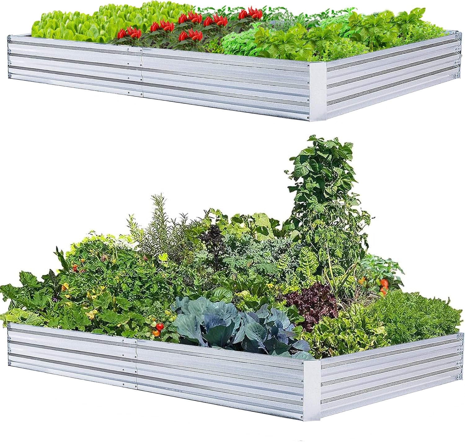 Galvanized Raised Garden Beds for Vegetables Large Metal Planter Box Steel Kit Flower Herb (8 x 4 x 1 ft * 2 Pack, Galvanized)