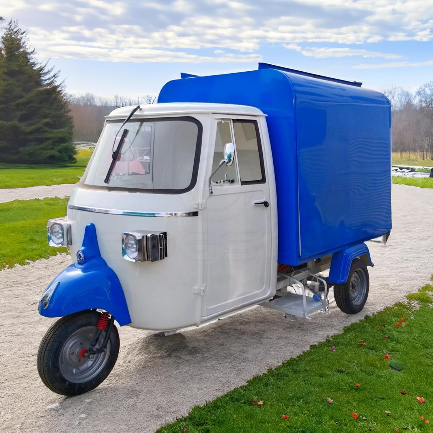 Fully Equipped APE Food Trailer, Mobile Concession Trailer for Sale, Display Truck with Food Truck Equipment, Ideal Camping Trailer with Accessories (Blue)