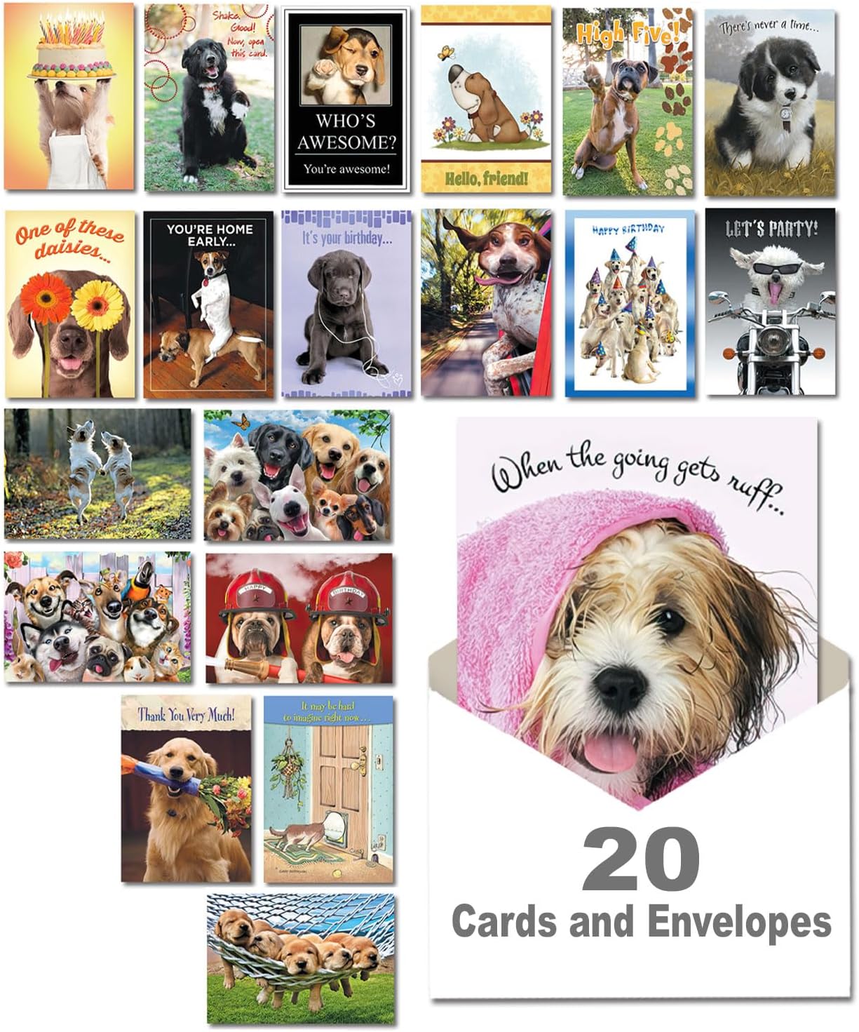 Leanin' Tree, It's A Dog's World, Greeting Cards Assortment Box, Assorted Cards with Envelopes All Occasion (20 All Occasion Cards, 22 Envelopes)